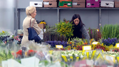 Comienza el frenesí de las flores ante el Día de Todos los Santos