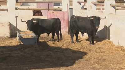 La Comunidad rehabilitará la Venta del Batán tras recibirla del Ayuntamiento de Madrid