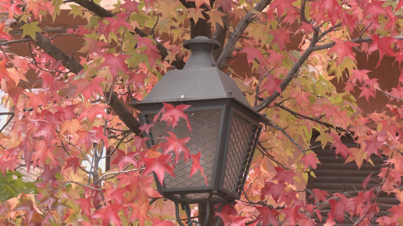 La sierra madrileña se tiñe de colores dorados este otoño