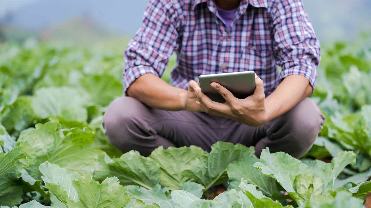El Ministerio de Agricultura convoca 16 plazas para Ingenieros Técnicos Agrícolas