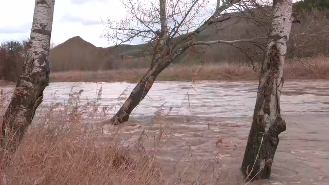 Los municipios de Madrid piden a la Confederación del Tajo un "plan urgente" para limpiar los cauces de los ríos