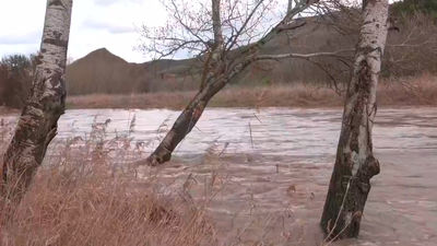 Los municipios de Madrid piden a la Confederación del Tajo un "plan urgente" para limpiar los cauces de los ríos