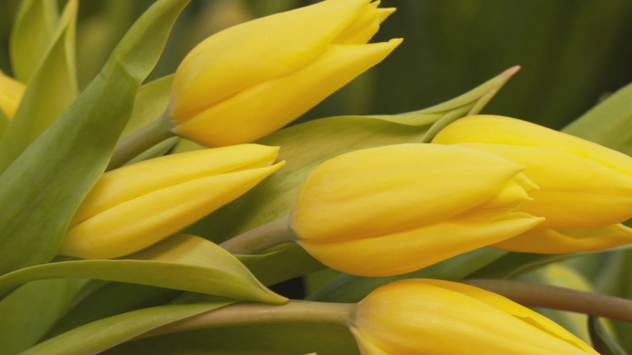 Madrid mejora tu vida 01.11.2025