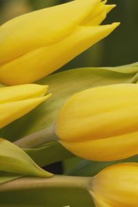 Madrid mejora tu vida 01.11.2025