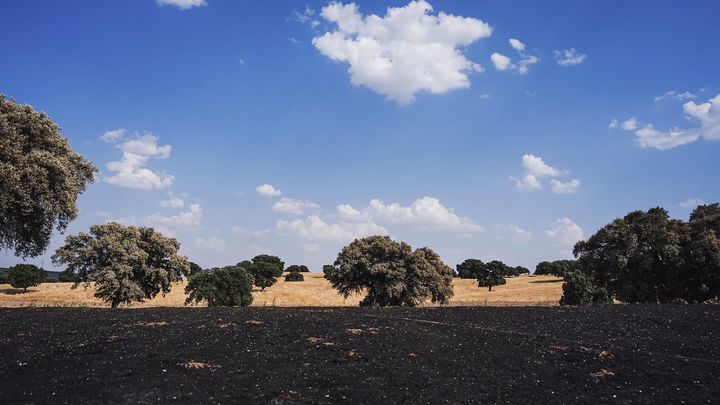Tres Cantos suspende la observación del eclipse por el riesgo de incendios