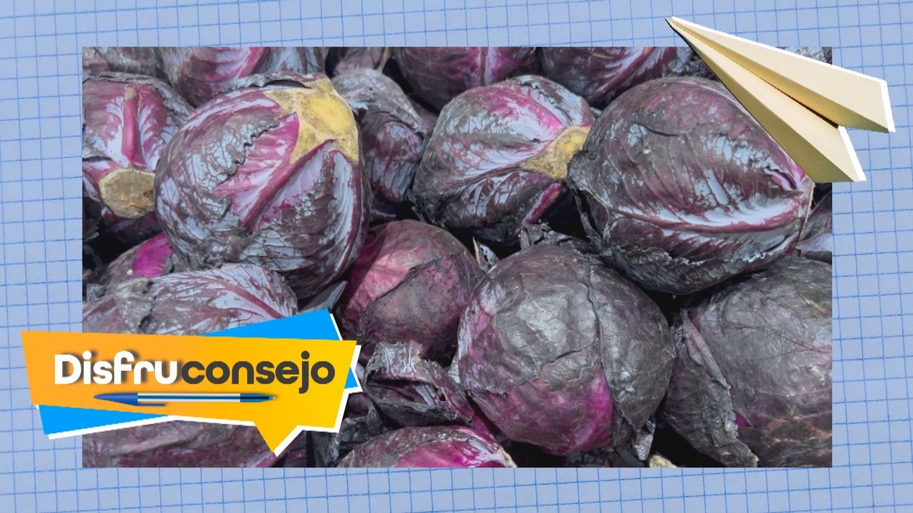 Aprende a limpiar correctamente las manchas de lombarda