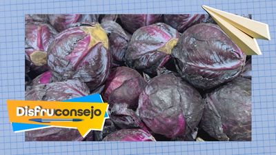 Aprende a limpiar correctamente las manchas de lombarda