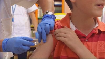 La gripe causa 28.000 hospitalizaciones anuales en España