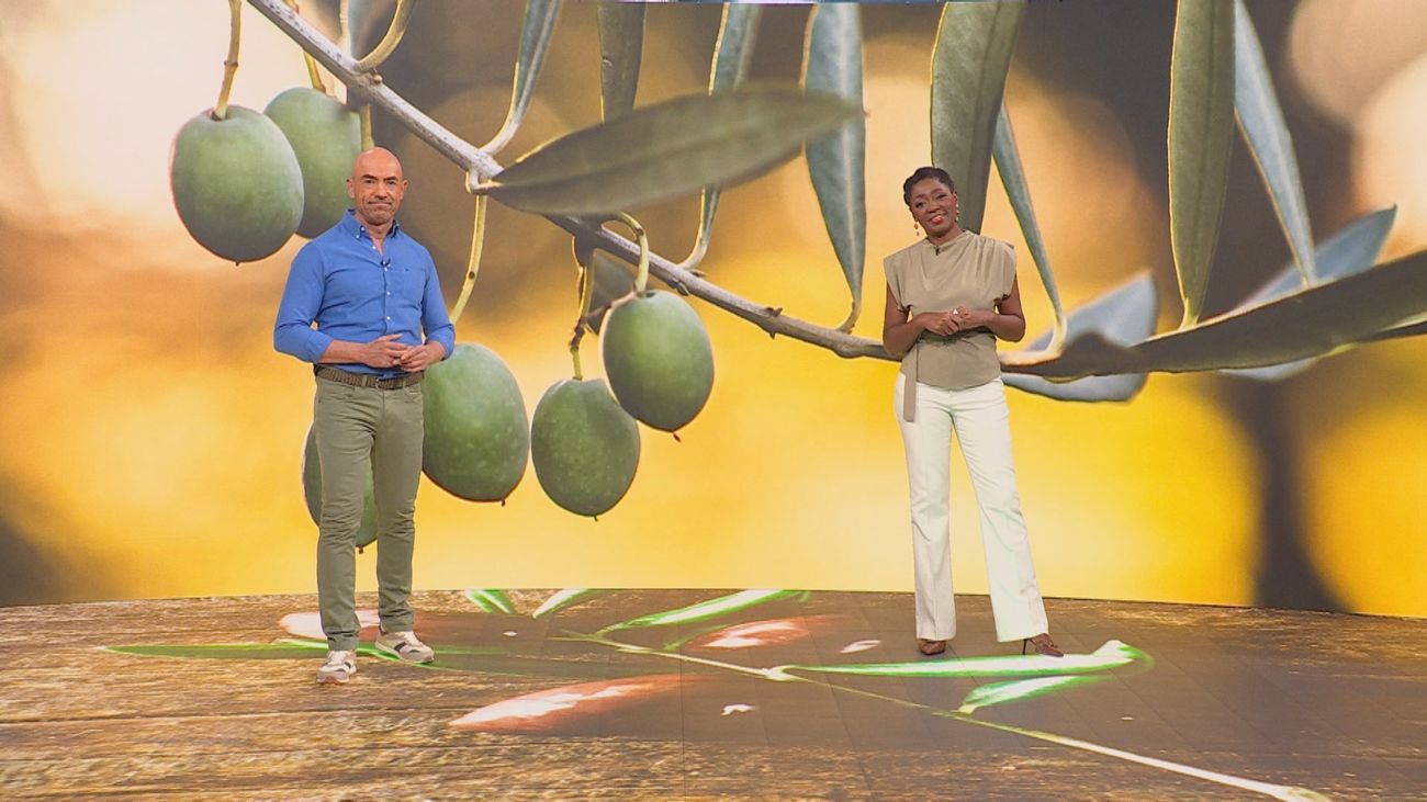 Madrid Directo 04.11.2025