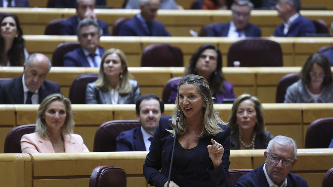 La portavoz del PP en el Senado, Alicia García