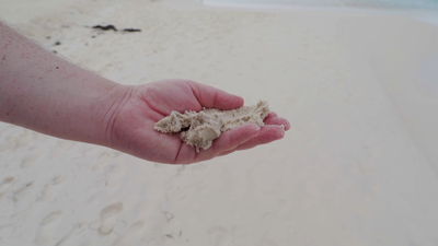 El gran secreto de la arena fina de las playas de Aruba