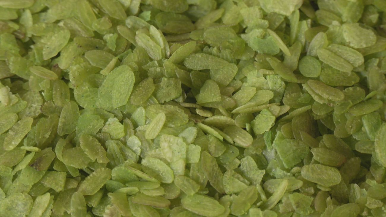 Madrid mejora tu vida 08.11.2025