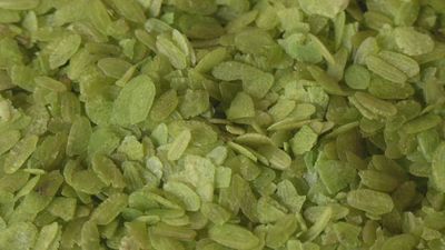 Madrid mejora tu vida 08.11.2025