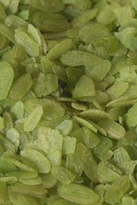 Madrid mejora tu vida 08.11.2025