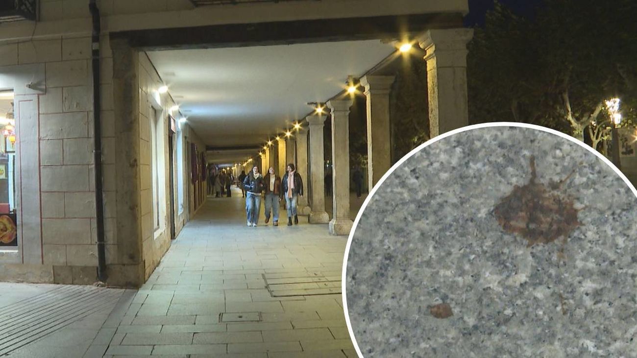 "Ahora no estáis de servicio, putas ratas": así agredieron violentamente e insultaron a dos policías en Alcalá de Henares