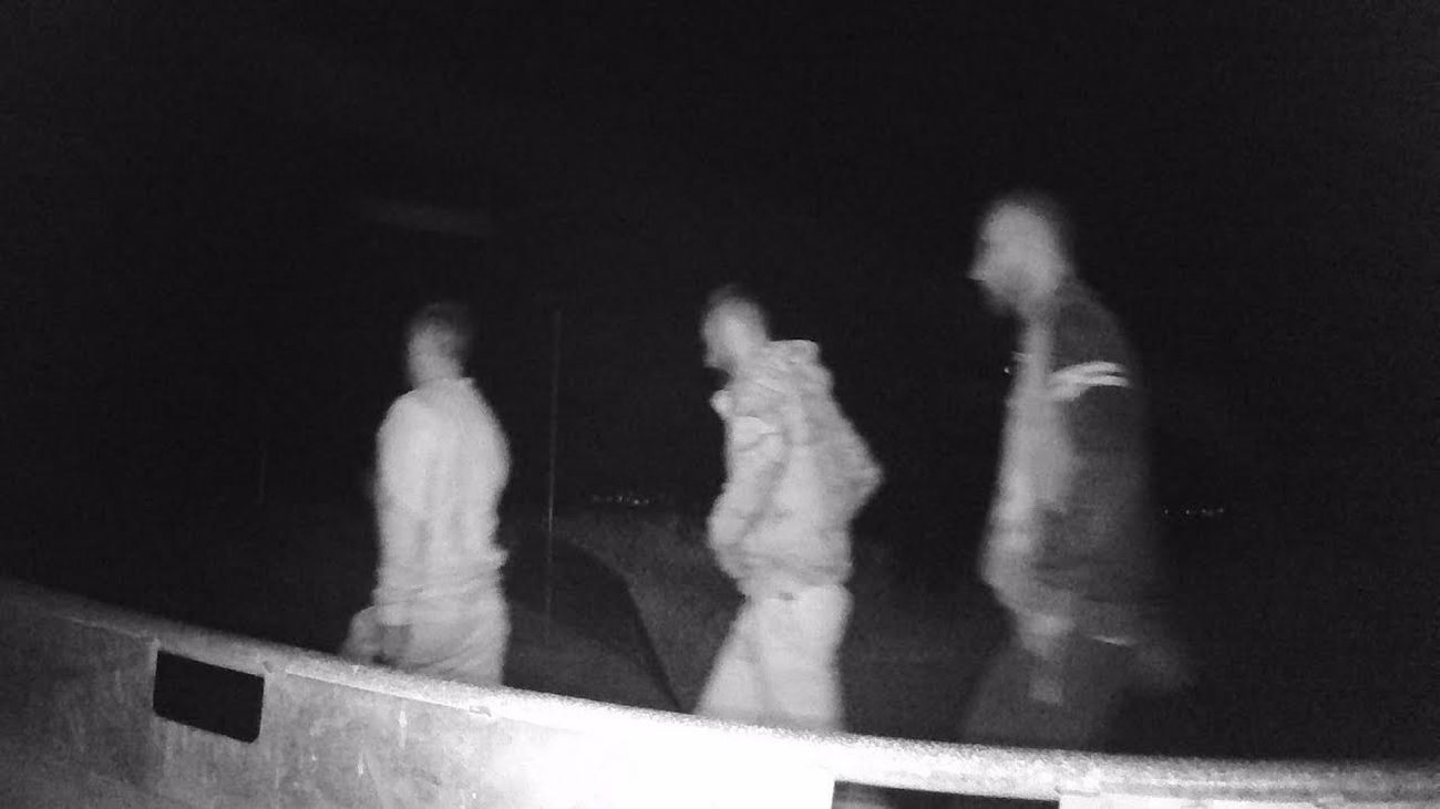 La Guardia Civil detiene a tres personas por el robo de 77 corderos en La Rioja