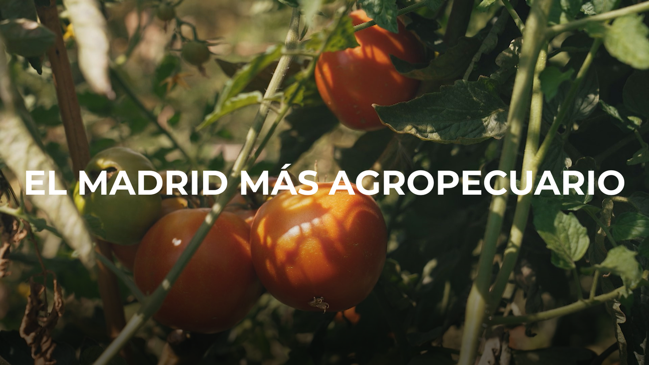 Enamorados de Madrid: agropecuario