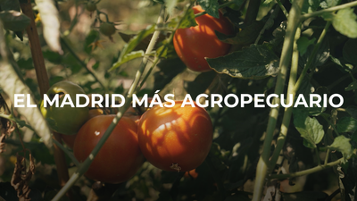 Enamorados de Madrid: agropecuario