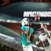 Los Dolphins y los Commanders, alucinan con el Bernabéu