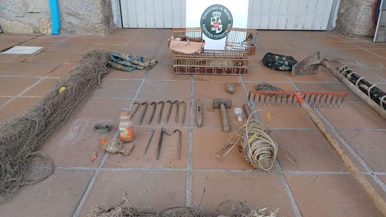 Agentes forestales denuncian a dos personas por atrapar jilgueros en Robledo de Chavela