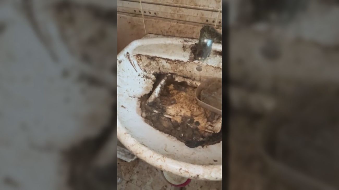 La casa de Kathy tras 5 años de inquiokupación: un vertedero y 14 gatos abandonados dentro