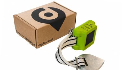 Digitanimal, la startup madrileña que usa tecnología para cuidar del ganado