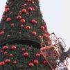 ¿Conoces cómo se monta el árbol de Navidad de la Puerta del Sol?