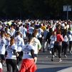 Madrid corre este domingo para poner freno a los  accidentes de tráfico