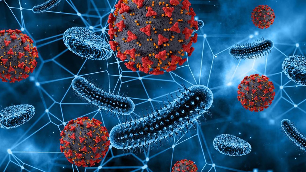 Virus abstracto y células sanguíneas