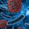 La OMS alerta: la resistencia antimicrobiana ya causa más de un millón de muertes al año