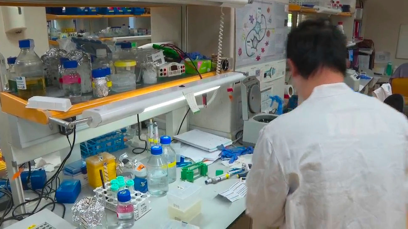 La ministra Morant ignoró las denuncias de un presunto desfalco de 25 millones de euros en el CNIO