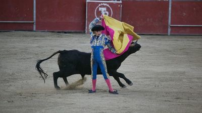 El Palacio de Cibeles acoge el I Congreso de Tauromaquia 'Villa de Madrid'