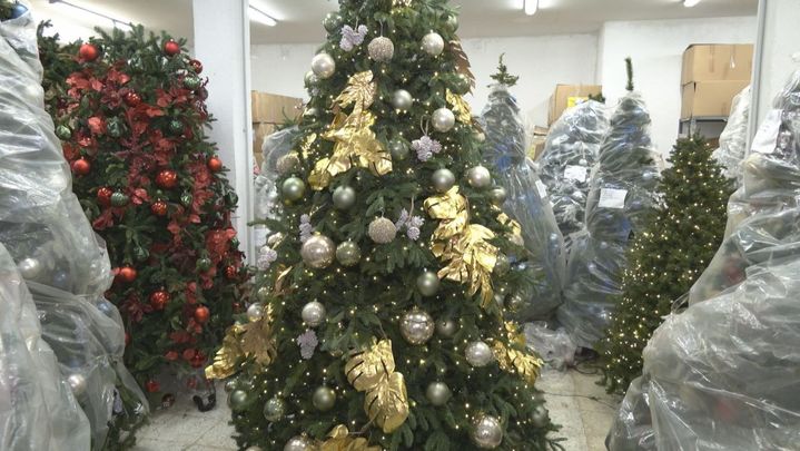 Alquilar tu árbol de Navidad es posible: la solución que triunfa en un almacén de Tetuán