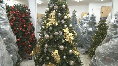 Alquilar tu árbol de Navidad es posible: la solución que triunfa en un almacén de Tetuán