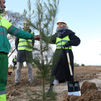 Plantados los primeros árboles del Parque Forestal Princesa Leonor, el gran pulmón verde de Alcobendas