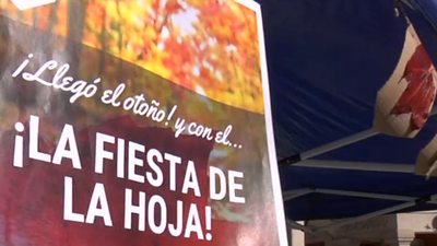 Miraflores de la Sierra se baña este domingo en su piscina de hojas secas