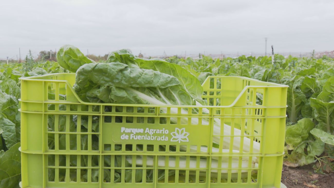 Madrid mejora tu vida 22.11.2025