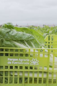 Madrid mejora tu vida 22.11.2025