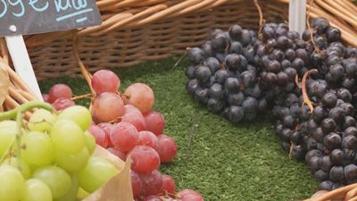 Madrid mejora tu vida 23.11.2025