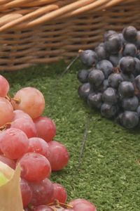 Madrid mejora tu vida 23.11.2025