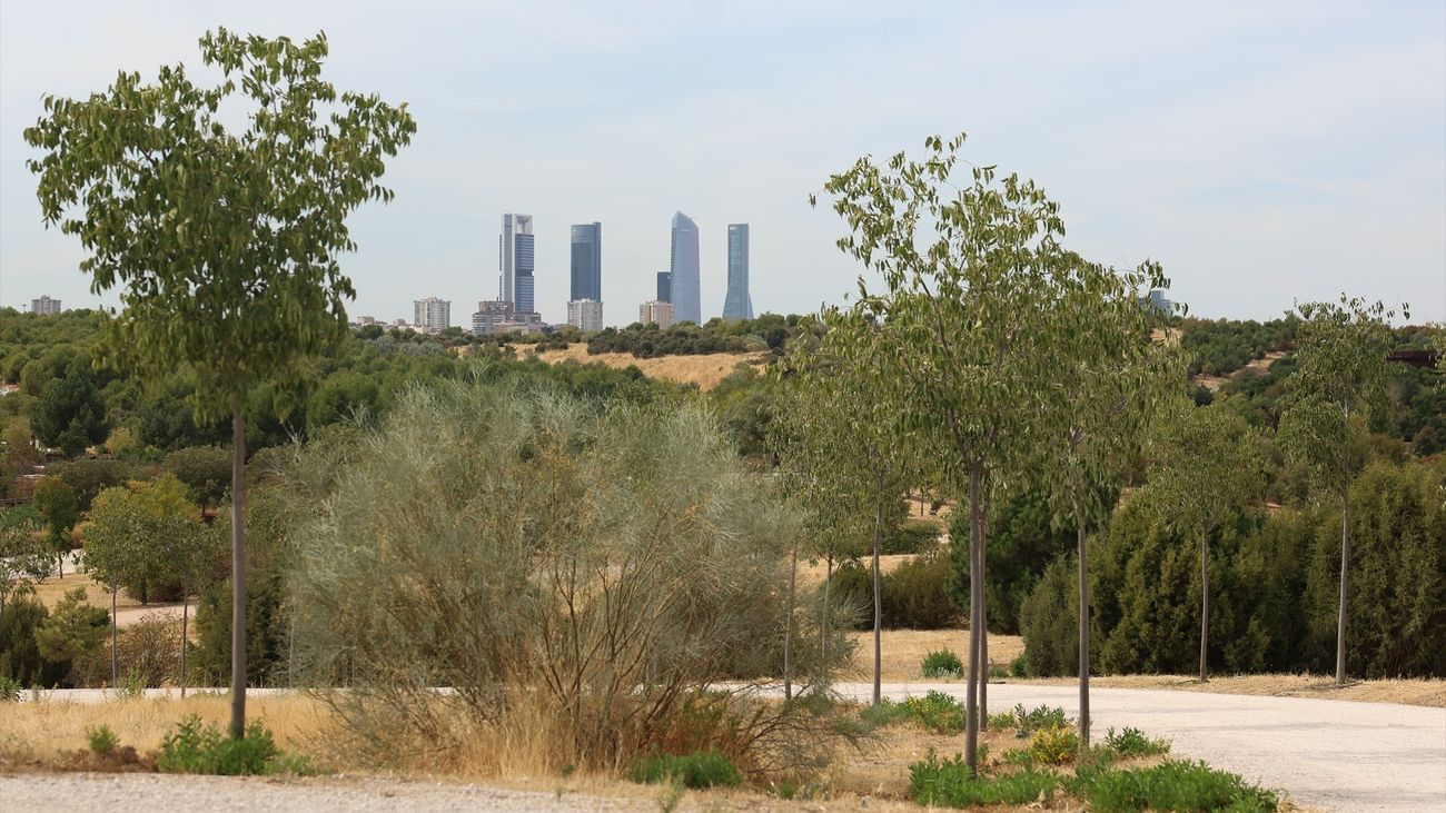 Madrid incorpora la inteligencia artificial para mejorar el cuidado de sus zonas verdes y parques
