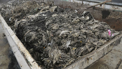 Gestos que evitan daños medioambientales en Madrid