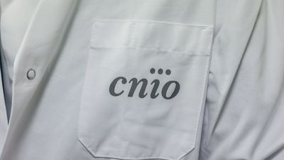 Nueva purga en el CNIO tras la investigación abierta por Anticorrupción