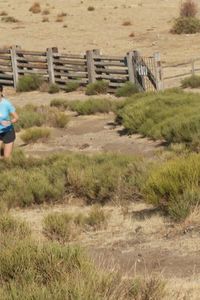 Trail running: técnica, preparación y mente para conquistar la montaña
