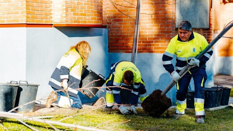 Comienza el plan de arbolado de San Fernando con los primeros 150 ejemplares
