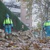 Arranca la campaña de recogida de la hoja 2025 en Madrid