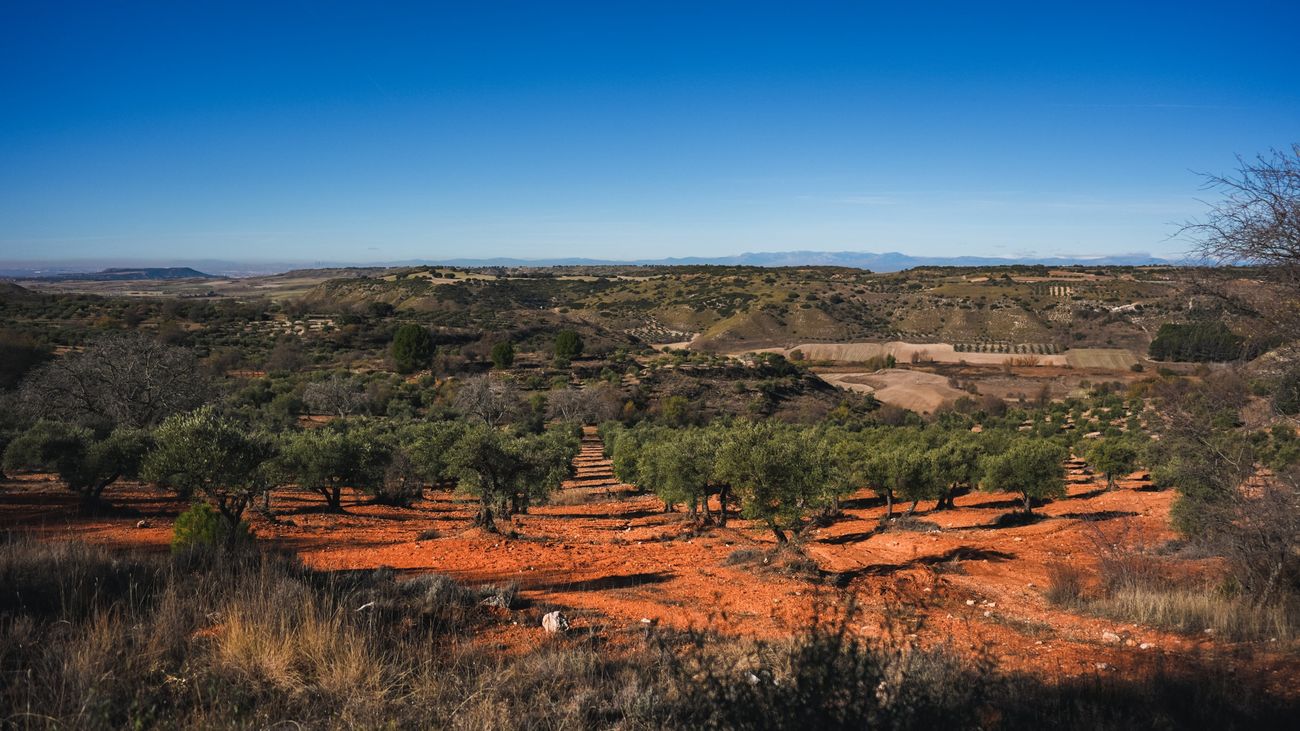 Paisaje de la Alcarria Madrileña