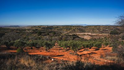 Santorcaz presenta el Mirador de la Alcarria Madrileña