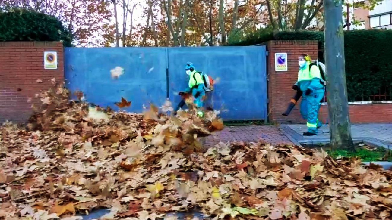 Madrid activa un operativo de 2.265 operarios y 550 equipos para la campaña de recogida de hoja
