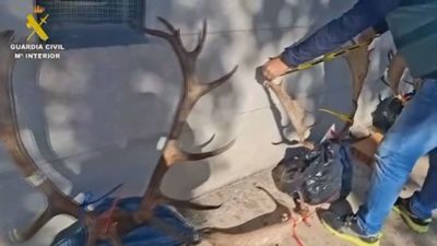 Caza furtiva en el Monte del Pardo: hay un detenido y un  investigado